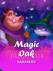 Magicians Secrets